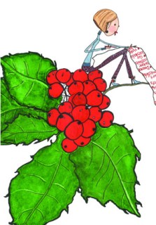 Mistletoe & Red Berries